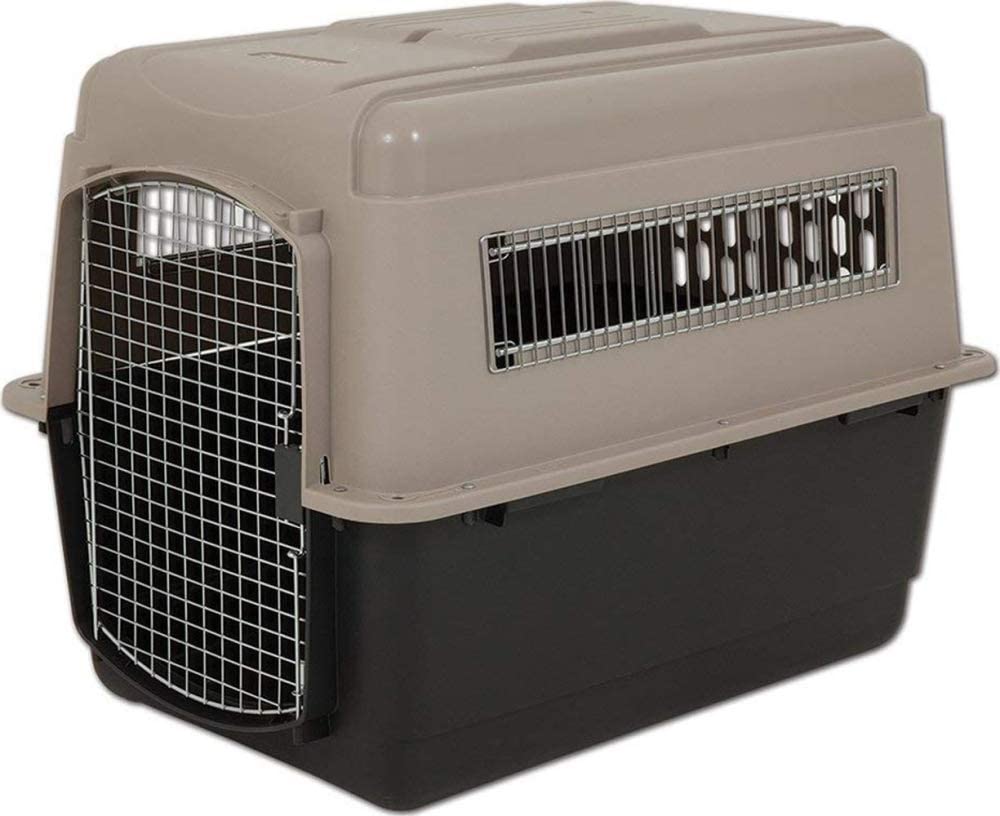 travel crate for large dog